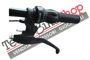 Bicicletta Pieghevole Masciaghi Carbike  20" con Cambio 6 Velocità