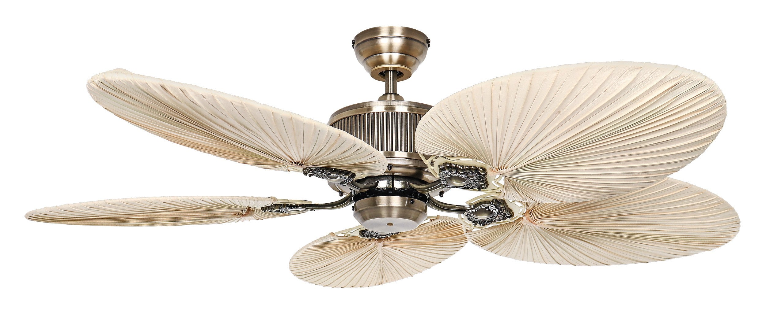CARIBBEAN DREAM ECO II, Ventilatore senza Luce, Casafan