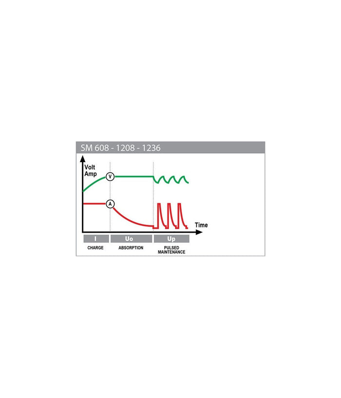 Caricabatterie 1.2ah A 120a Deca Sm1236 Per Moto E Auto Di Piccola/media Cc 12v         