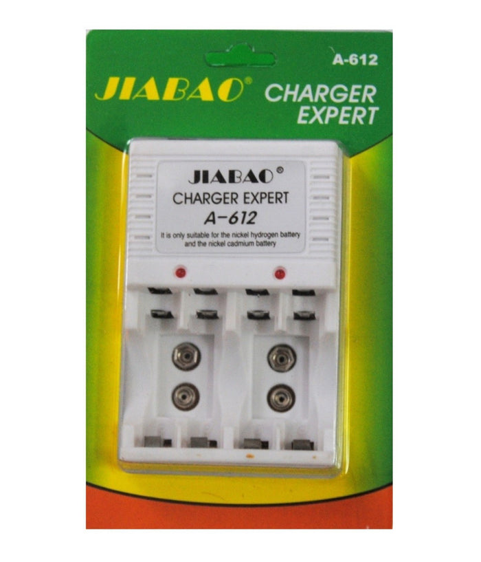 Caricabatterie A-612 Per Pile Ricaricabili Aa Stilo Aaa Mini Stilo Batterie 9 V         