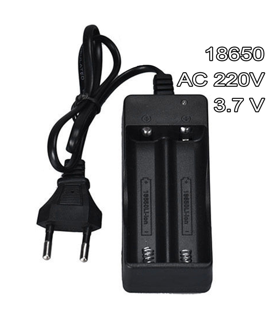 Caricabatterie Doppio Pile Ricaricabili 18650 Ac 220v 3.7 V Li-ion Batteria         