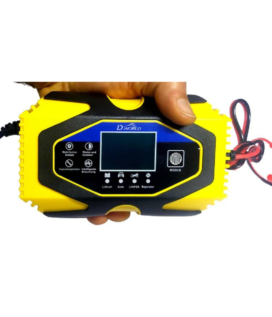 Caricabatterie Intelligente Avviatore Emergenza Batteria Auto 12v-8a 24v-6a J40         