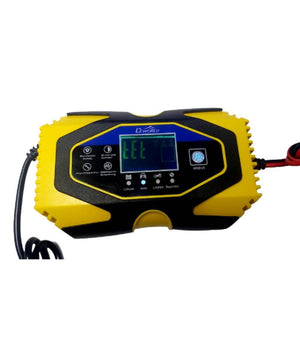 Caricabatterie Intelligente Avviatore Emergenza Batteria Auto 12v-8a 24v-6a J40         