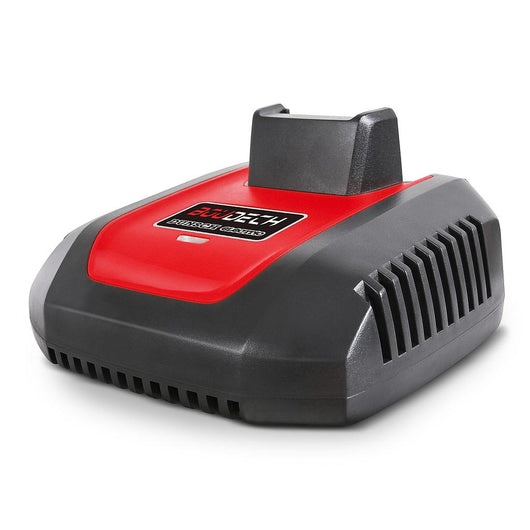 Caricabatterie al litio 40V caricabatterie rapido 1 ora caricabatterie dunsch per motosega tosaerba soffiatore tagliasiepi