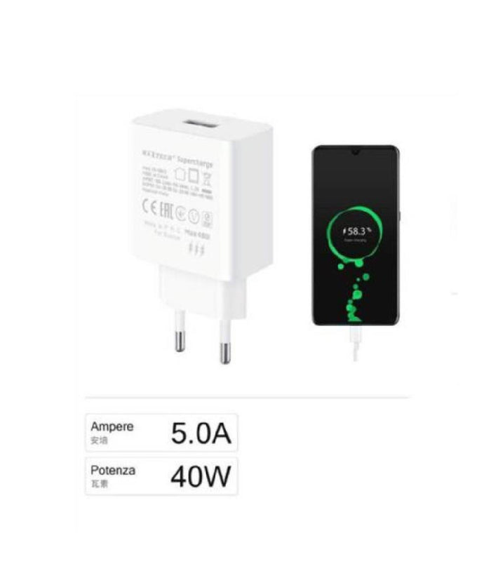 Caricatore 1 X Usb Da 5a Supercharge Caricabatterie Adattatore Muro 40w Ca-s043         