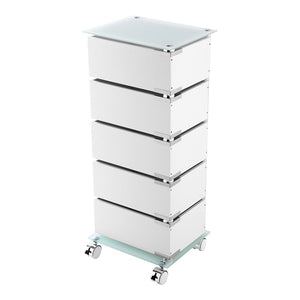 Carrello bagno trasportabile con 5 cassetti girevoli in acciaio e vetro