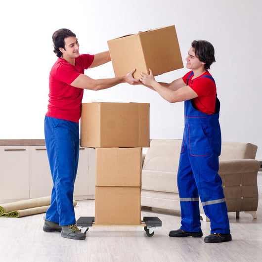 Carrello trasporto con 4 ruote piroettanti capacit¨¤ di carico 450kg, Carrello sposta mobili 77x47x15,5cm-Deposito utensili Tool