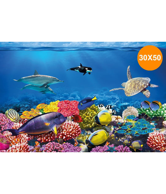 Carta Decorativa Per Acquario 30 X 50 Cm Pannello Decorativo Acquari Sfondo         