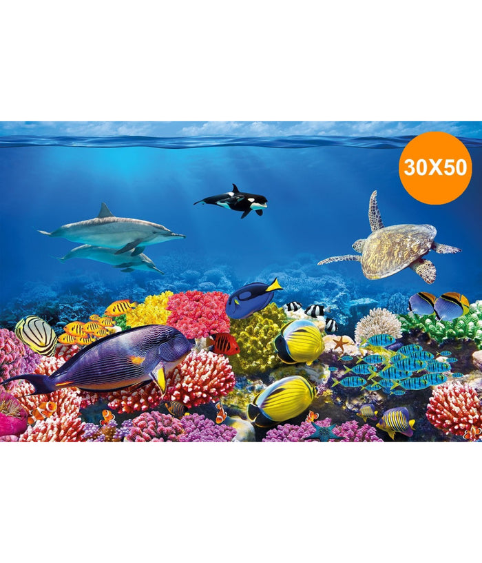 Carta Decorativa Per Acquario 30 X 50 Cm Pannello Decorativo Acquari Sfondo         