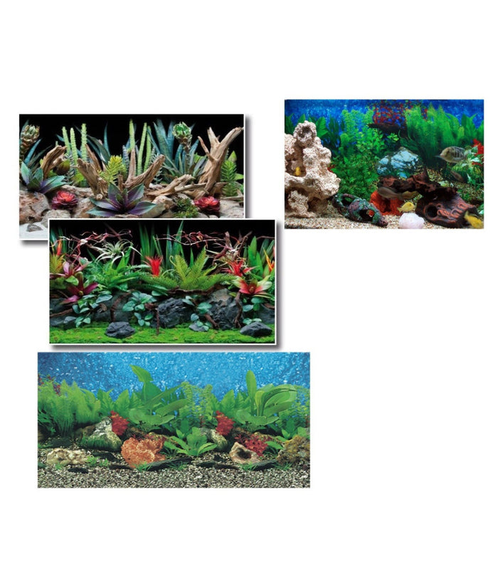 Carta Decorativa Per Acquario 40 X 75 Cm Pannello Decorativo Acquari Sfondo         