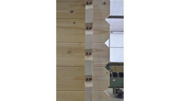 Casetta da giardino in legno con veranda e tettoia - 42.00m2 - 6.00x5.00m - 40mm - colore: naturale - DOM747+DOM553+DOM555+POD04 - ALTANKA