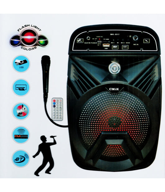 Cassa Amplificata Karaoke Portatile Con Microfono Radio Dj Bluetooth Telecomando         