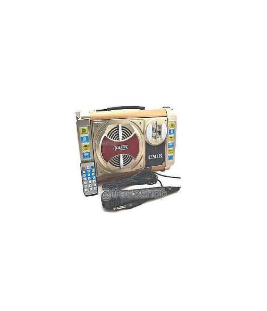 Cassa Amplificata Mp3 Usb Micro Sd Line In Microfono Chitarra Volumi Echo Mk-b70         