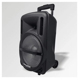 Cassa Audio A Batteria Ricaricabile Trolley Woofer 10" Usb Extreme Sound Move 10         