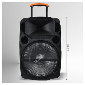 Cassa Audio Portatile Batteria Woofer 15" Usb Mp3 Microfono Extreme Sound Van-xl         