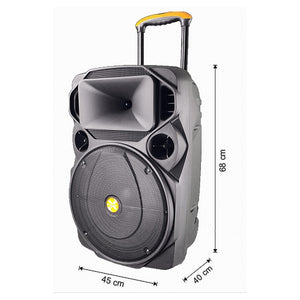 Cassa Audio Portatile Batteria Woofer 15" Usb Mp3 Microfono Extreme Sound Van-xl         