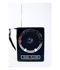 Cassa Speacker Portatile Con Radio Fm Porta Usb Lettore Scheda Sd Uscita Aux Mp3         