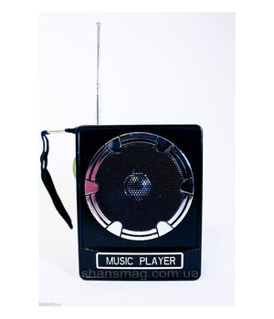 Cassa Speacker Portatile Con Radio Fm Porta Usb Lettore Scheda Sd Uscita Aux Mp3         