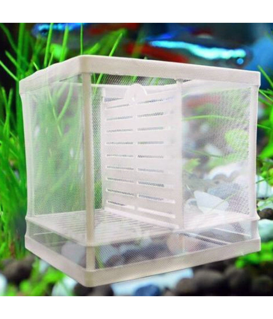Cassetta Per Acquario Allevamento Separa Pesci Proteggi Uova Incubatrice Piccola         