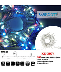 Catena Luminosa 100 Luci Led Lucciole Colore Multicolore Intermittente Xc-3071         
