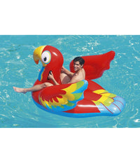 Cavalcabile Gonfiabile Pappagallo 203x132 Cm Bambini Mare Animale Piscina 41127         