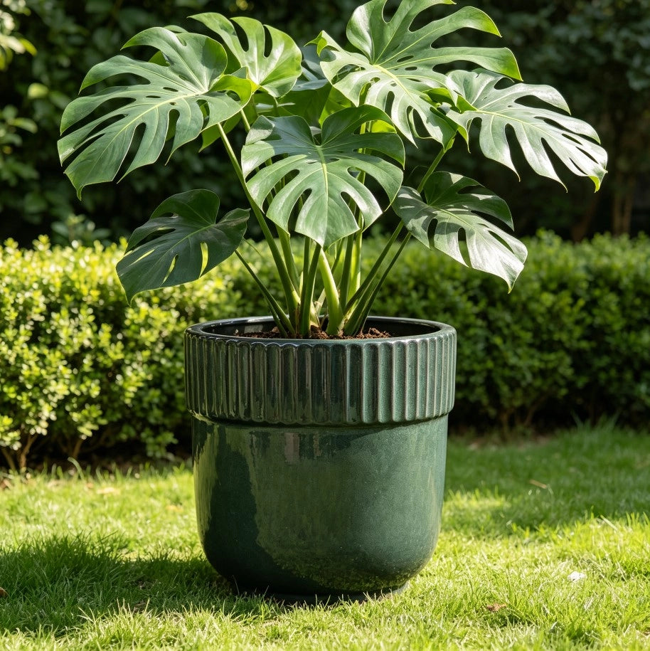 Fioriera in ceramica fatta a mano con bordo scanalato e drenaggio, per interni ed esterni, verde scuro lucido Ø 38 cm