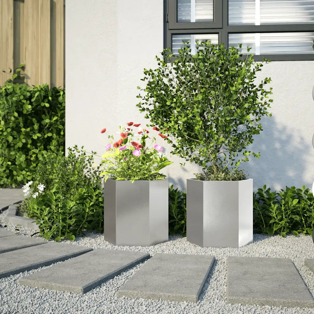 Fioriere da Giardino 2pz Nera Esagono Acciaio inossidabile 851117