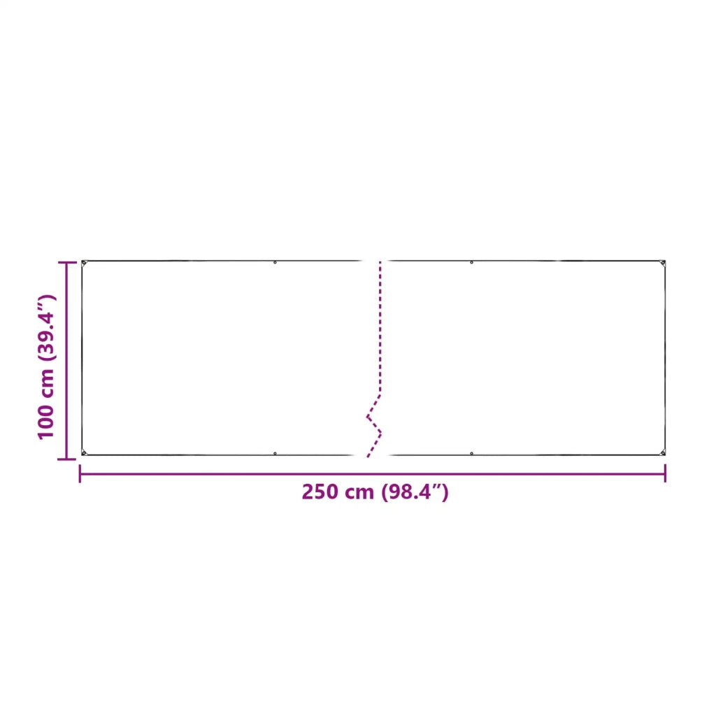 Copertura per Piante Trasparente 2,5 x 1 m PE 3429298