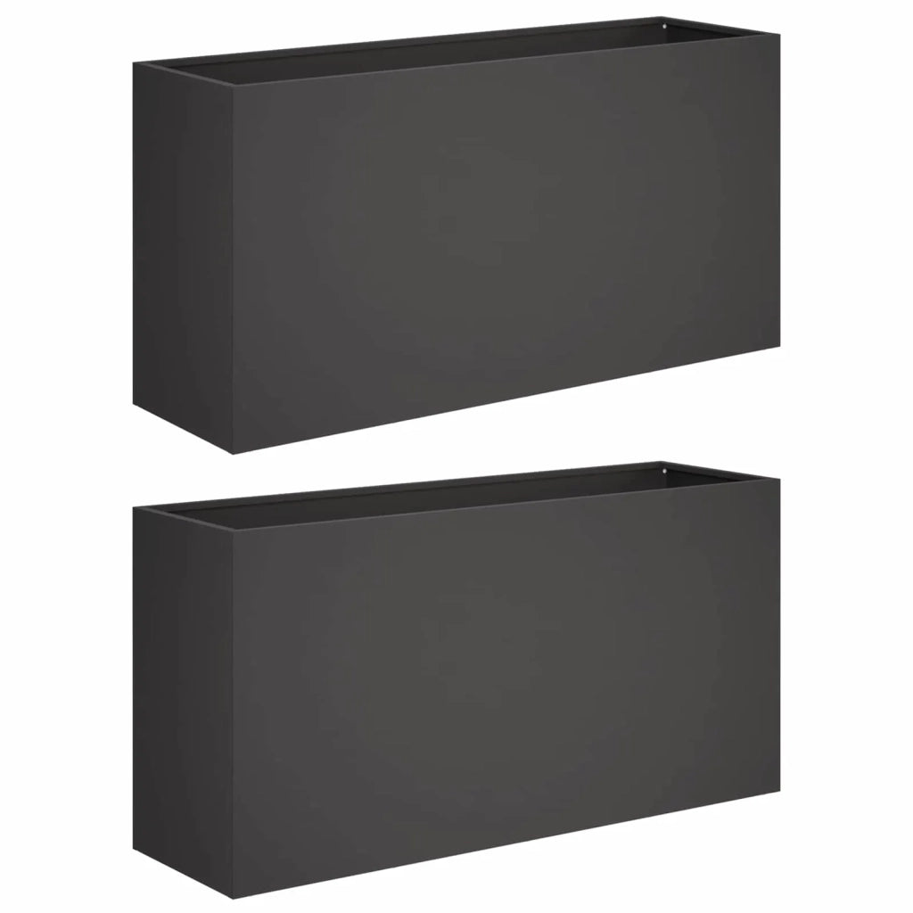 Vaso da giardino 2 pz Nero 100 x 30 x 50 cm 8005625
