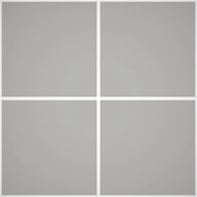 Pittura Murale Acril Silossanico Antialga Esterno - Rivestimenti Esterni B713 - Litri 14