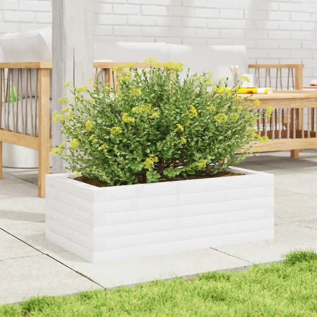 Fioriera | Cassetta per fiori | Vaso da Giardino Bianca 70x40x23 cm Legno Massello di Pino