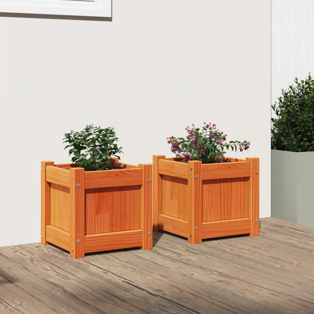 Fioriere da Giardino 2pz Marrone Cera Legno Massello di Pino 837399