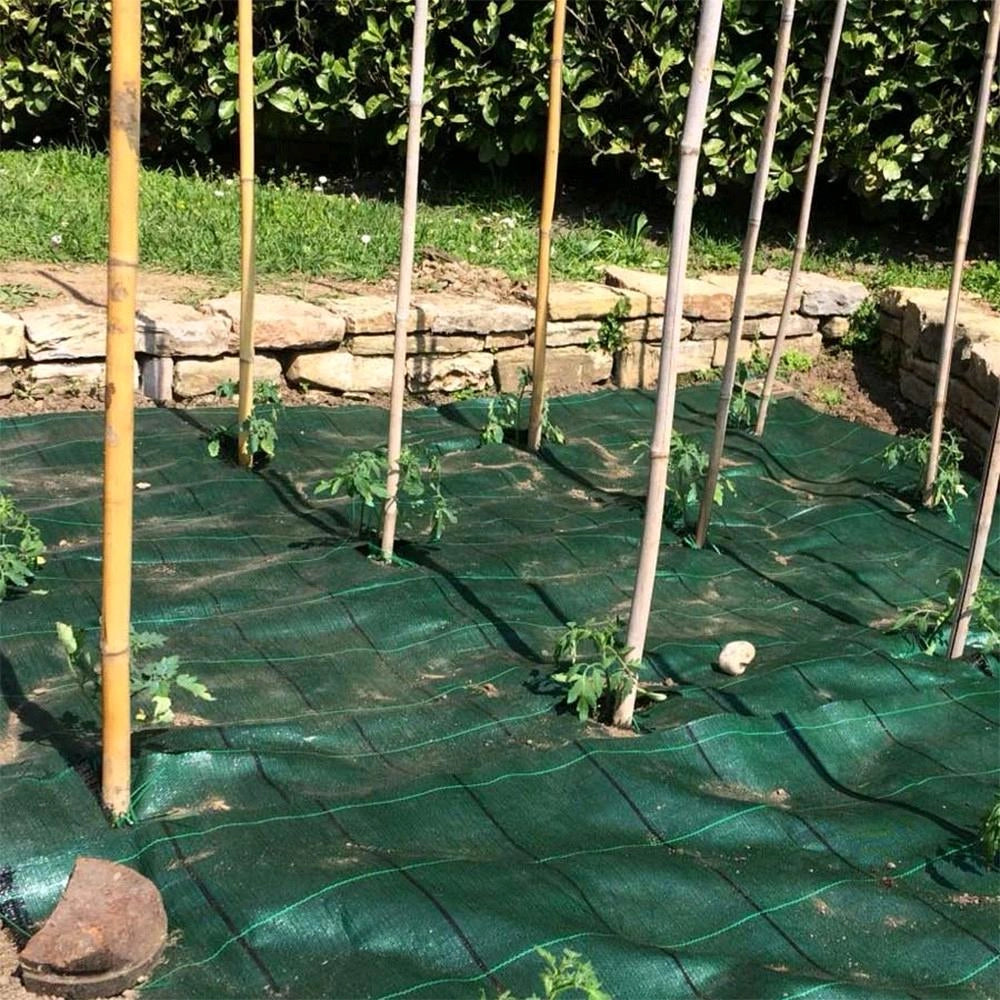 Telo Per pacciamatura Verde 1,65x10 mt 100gr/mq anti erbacce Anti UV Permeabile