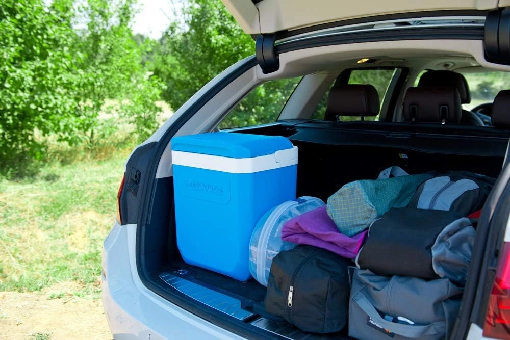 Campingaz ghiacciaia portatile icetime plus borsa frigo capacità 30 lt colore azzurro