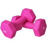 Mancine Esagonali con Impugnatura Antiscivolo ¨C zephmum ¨C 2 Pezzi 3 kg Rosa