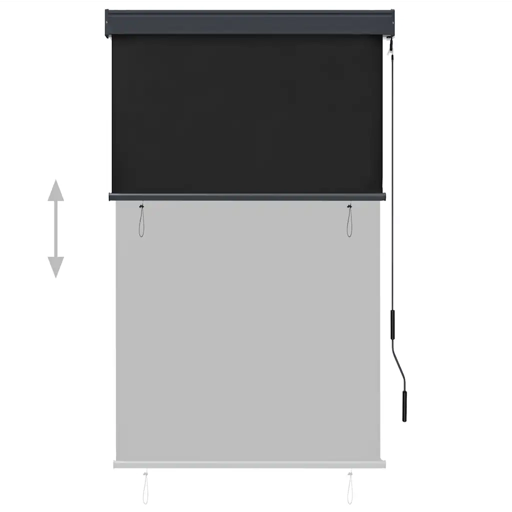 Tenda a Rullo per Esterni 100x250 cm Antracite cod mxl 68275