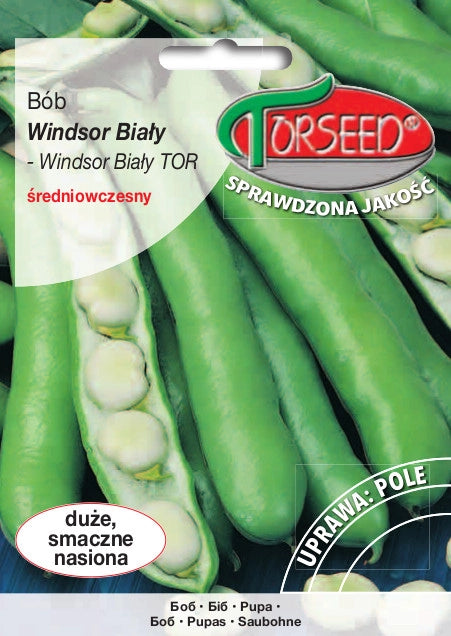 Fave Windsor Bianche TOR 50g