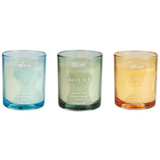 Set di 3 candele profumate multicolore 100% cera di soia stoppino di cotone vetro Naturale Fragranza fresca Oceano, Tè bianco, Prato estivo