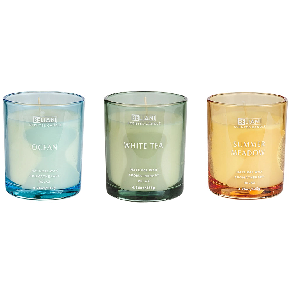 Set di 3 candele profumate multicolore 100% cera di soia stoppino di cotone vetro Naturale Fragranza fresca Oceano, Tè bianco, Prato estivo