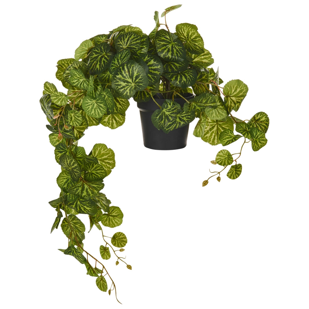 Pianta artificiale in vaso appesa Verde e nero sintetico 37 cm Materiale accessorio decorativo per interni