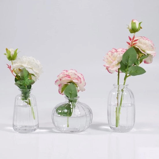 Set di 3 piccole vasi trasparenti per decorazione di tavola, vasi decorativi in vetro, vaschetta per fiori, vaso per capolini