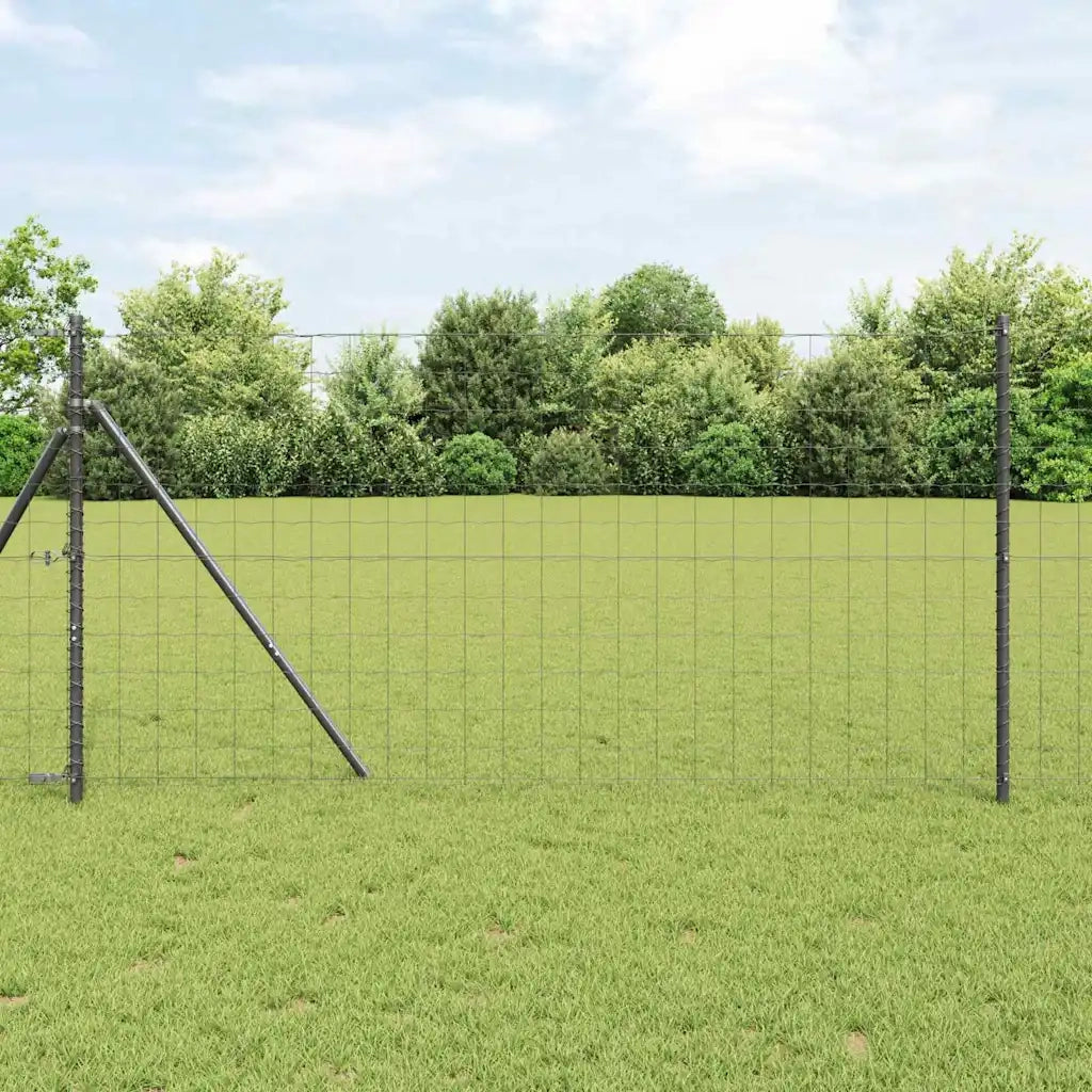 Recinzione da Giardino | Recinzione con Posto Grigio 1 x 10 m Acciaio