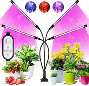 Luce per Piante / Luce di Crescita per Piante / [Classe di Efficenza A+++] - MANTENIMENTO SALUTE DEI PIANTINI / Luce LED Indoor Efficace