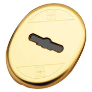 MOSTRINA INTERNA ART.95324 finitura ottonata  - MOTTURA