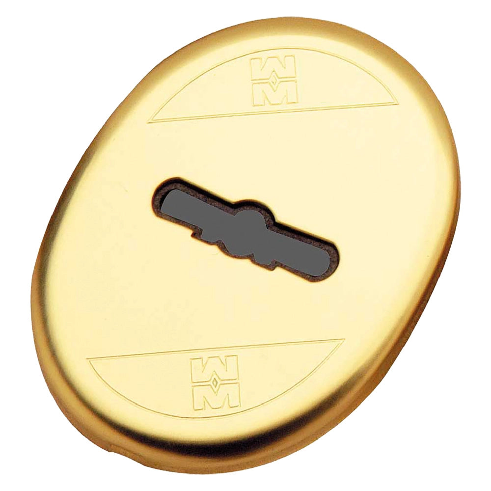 MOSTRINA INTERNA ART.95324 finitura ottonata  - MOTTURA