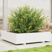 Fioriera da Giardino-Vaso da Esterno Bianca 100x100x26,5cm Legno Massello Pino