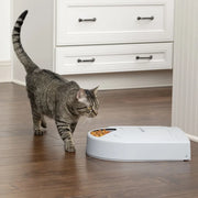 PetSafe Dispensatore di 5 Pasti per Animali Eatwell con Timer Grigio 444458