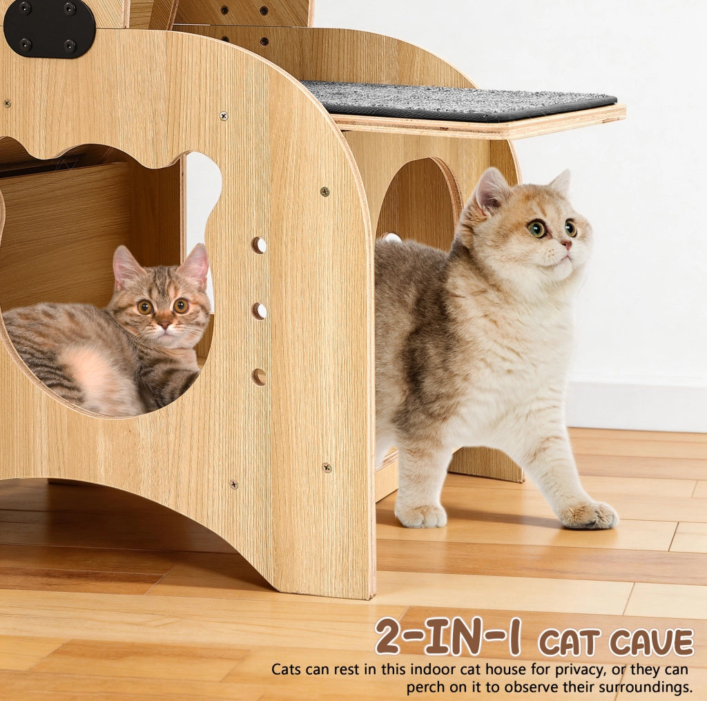 Ruota da esercizio 6 in 1 per gatti in legno naturale