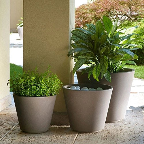 Cheonda - Teraplast Ribeira Blumenkasten, 60 cm, Kunststoff, 100% Cappuccino, 60 cm