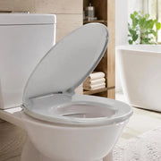 Toilet Seat With Soft-close Mechanism, Light Grey, Oval